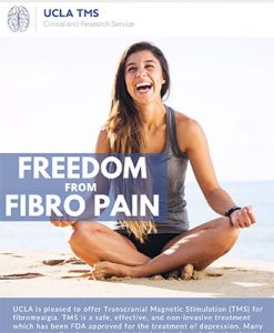 TMS Freedom from Pain / Fibromyalgia PDF